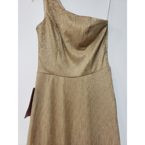 BHLDN Midas Dress - Picture 11 of 12